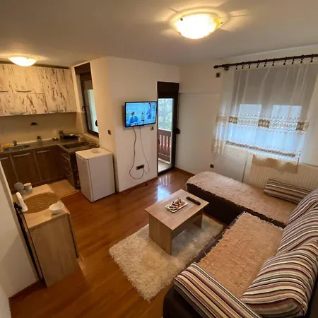 Apartamento Spasojevic Zlatibor